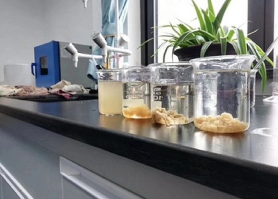 Agente auxiliar químico de la resina del formaldehído del agente el 50% Dicyandiamide de Decoloring del agua LSD-01